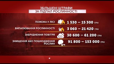 Штрафи за підпал рослинності Штрафи за підпал рослинності