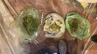 У жителя Чернігова поліція вилучила вісім кілограмів марихуани У жителя Чернігова поліція вилучила вісім кілограмів марихуани