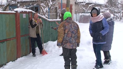 злі пси злі пси