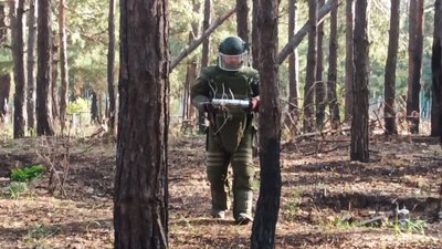 У Нововодолазькій громаді на Харківщині закликали утриматися від походів у ліс