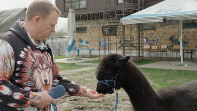 Альпака, будинок для бджіл та електропастух: як підприємець з Чернігівщини організував зоодім за гроші проєкту "Єробота" Альпака, будинок для бджіл та електропастух: як підприємець з Чернігівщини організував зоодім за гроші проєкту "Єробота"