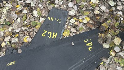 Російський БпЛА влучив у дерево біля житлових будинків у Полтаві: фоторепортаж