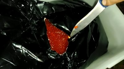 На Сумщині неподалік кордону виявили 176 кілограмів контрабандної червоної ікри з Росії