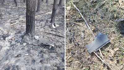 У лісах Житомирщини спалахнули пожежі внаслідок російських атак та падіння дронів: що відомо