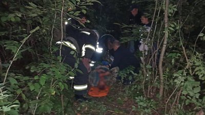 На Черкащині на чоловіка впало дерево. Він у лікарні