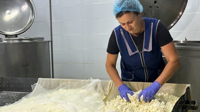 Лишалося сто корів і сто телят. Останній молочний комбінат Донеччини: історія відродження ферми Лишалося сто корів і сто телят. Останній молочний комбінат Донеччини: історія відродження ферми