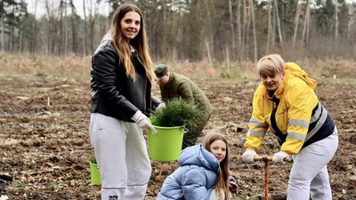 Лісівники та волонтери UAnimals відновлюють ліс на Вінниччині