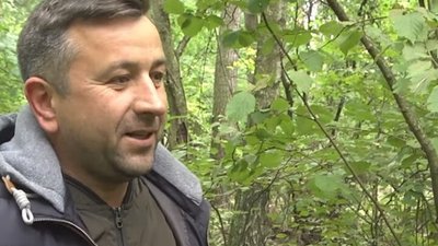 Грибиник із Тернопільщини розповів, куди ходить на "тихе полювання" Грибиник із Тернопільщини розповів, куди ходить на "тихе полювання"