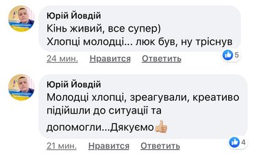 Рятувальники витягли з каналізаційного люка коня Рятувальники витягли з каналізаційного люка коня
