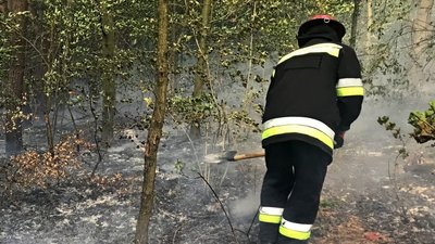 У Кременецькій громаді горить ліс та чагарники У Кременецькій громаді горить ліс та чагарники