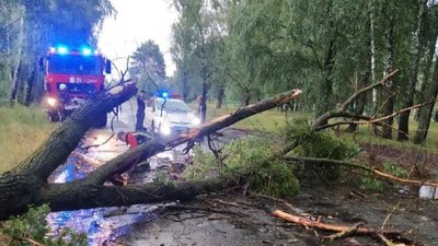 Два десятки населених пунктів без світла через негоду на Рівненщині Два десятки населених пунктів без світла через негоду на Рівненщині