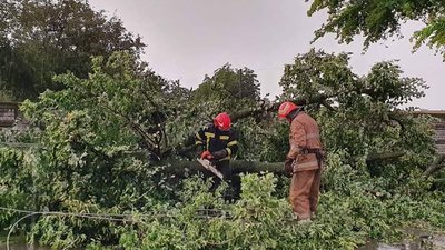 Негода на Полтавщині: які наслідки Негода на Полтавщині: які наслідки