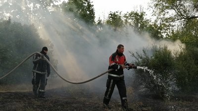 У міському парку Херсона горіла трава