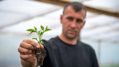 ветеранський бізнес