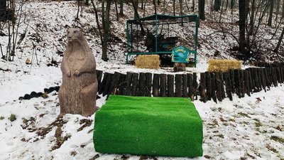 Харківській бабак Тимко зимував у самоізоляції та добре виспався Харківській бабак Тимко зимував у самоізоляції та добре виспався