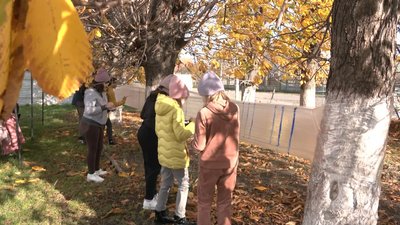 Діти з Волині створили патріотичну інсталяцію та панно біля сільського будинку культури Діти з Волині створили патріотичну інсталяцію та панно біля сільського будинку культури
