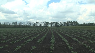 На Запоріжжі місцеві мешканці понад 25 років не можуть отримати паї