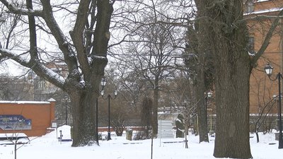 Більше сотні старих та меморіальних дерев з усієї Полтавщини внесли до спеціального довідника Більше сотні старих та меморіальних дерев з усієї Полтавщини внесли до спеціального довідника