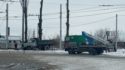 На спилювання аварійних дерев у Полтавській громаді потрібно 11 мільйонів гривень