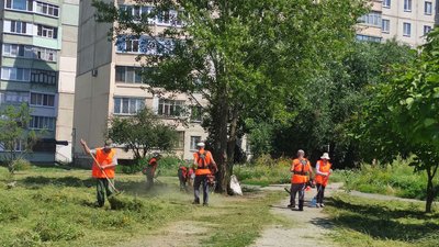 У Полтаві мають викосити траву до кінця серпня 2023 У Полтаві мають викосити траву до кінця серпня 2023