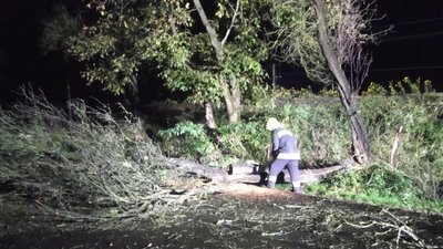 Повалені дерева, знеструмлені населені пункти: наслідки негоди на Закарпатті