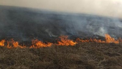 На Херсонщині знову горів сухостій