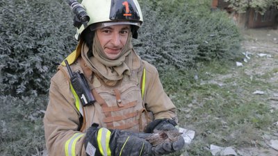 Харківський рятувальник дістав пташку з руїн знищеної РФ школи
