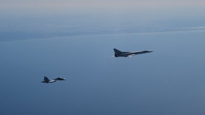 шведські винищувачі