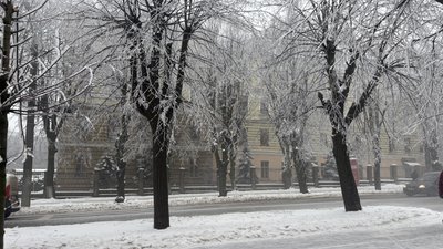 Вулиця Садова у Чернівцях