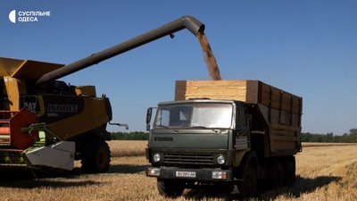 Брак співробітників та стислі терміни: на Одещині тривають жнива Брак співробітників та стислі терміни: на Одещині тривають жнива
