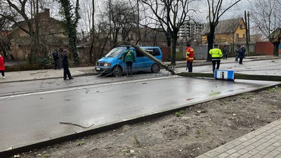 В Ужгороді на дорогу впали кілька електричних стовпів
