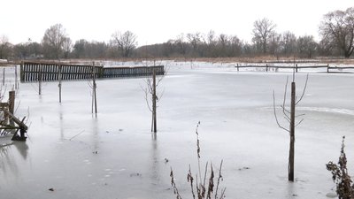 Пів метра води у погребах і відрізана одна з вулиць: як живе прикордонне село Мньов, що на Чернігівщині Пів метра води у погребах і відрізана одна з вулиць: як живе прикордонне село Мньов, що на Чернігівщині