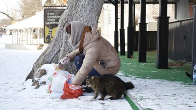 В Одесі містяни допомагають безпритульним тваринам під час холодів