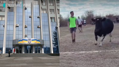Корова на полі: у Рівненській ОДА відреагували на футбол у карантин