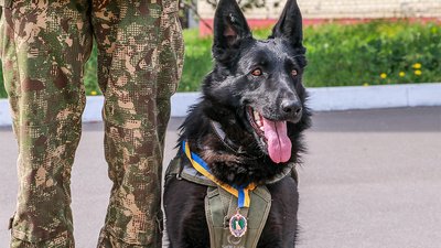 Службові собаки бійців "Червоної Калини" отримали медалі Службові собаки бійців "Червоної Калини" отримали медалі