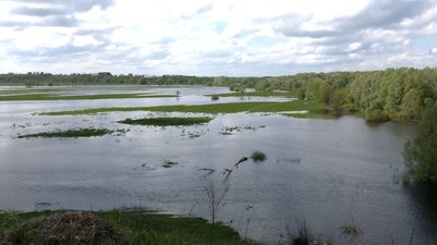 водопілля