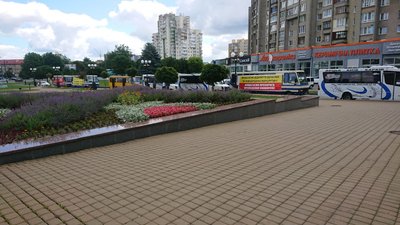 Волинські перевізники пікетують ОДА. Вимагають відновити міжобласні сполучення