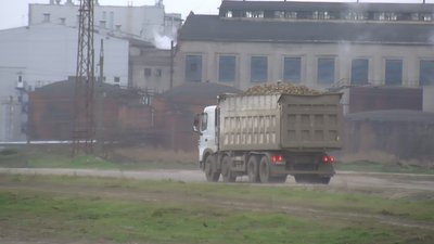 На Волині завершився збір цукрових буряків: як вродили і скільки коштує цукор На Волині завершився збір цукрових буряків: як вродили і скільки коштує цукор