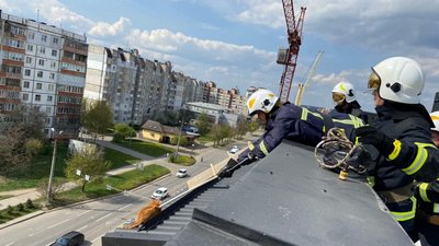 В Івано-Франківську з даху багатоповерхівки рятувальники зняли кошеня