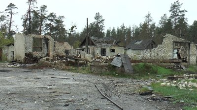 Відновлення екофонду: на території Національного природничого парку "Святі гори" на Донеччині висадили 50 туй Відновлення екофонду: на території Національного природничого парку "Святі гори" на Донеччині висадили 50 туй