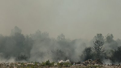 Пожежа на сміттєзвалищі