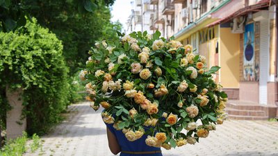 Херсон, квіти, парасолька, троянди
