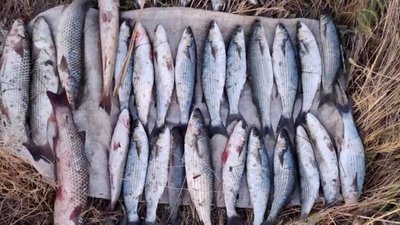 На Херсонщині прикордонники за добу затримали трьох браконьєрів