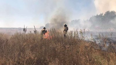 Поліція відкрила кримінальні провадження за фактами пожеж на Харківщині