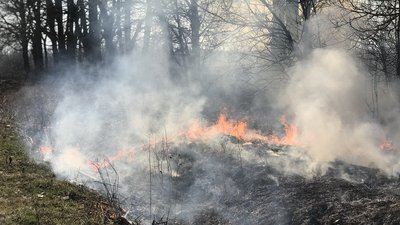 80 пожеж у природних екосистемах ліквідували прикарпатські пожежники за минулі вихідні 80 пожеж у природних екосистемах ліквідували прикарпатські пожежники за минулі вихідні