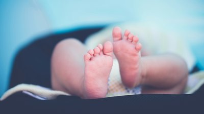 За тиждень у Полтавській громаді народилося 65 дітей