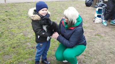 Виставка прилаштування. У Миколаєві майже два десятки цуценят знайшли нових господарів