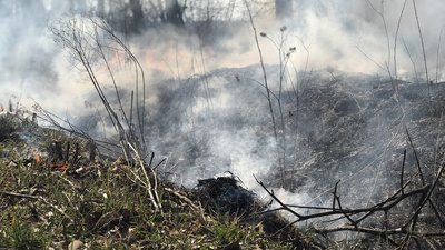 На Прикарпатті цієї доби горіли трава, дрова і господарська будівля На Прикарпатті цієї доби горіли трава, дрова і господарська будівля