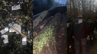 На Тернопільщині правоохоронці затримали працівника лісгоспу на хабарі