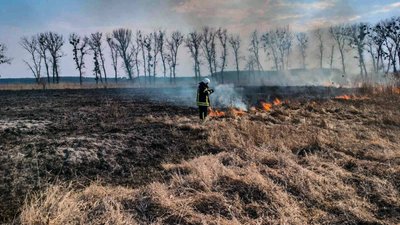 На Черкащині за добу тричі ліквідували пожежі сухої рослинності